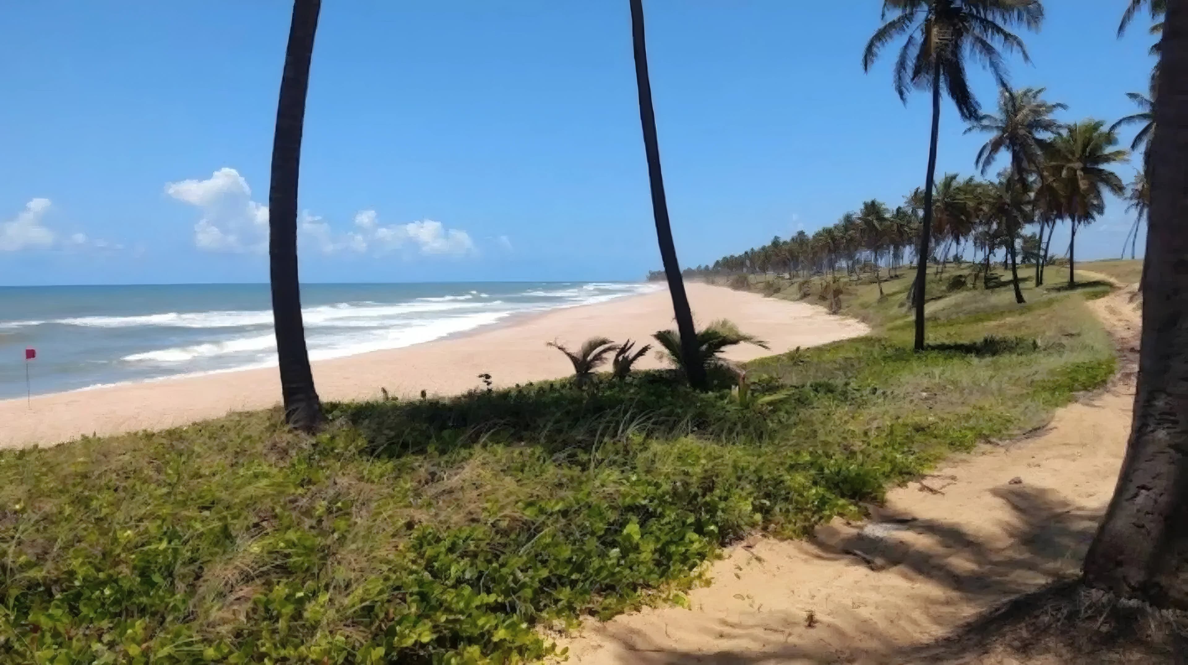 Imagem 26 do anúncio