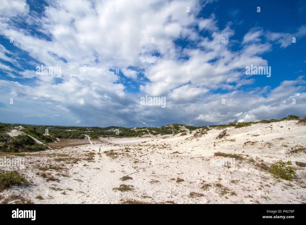 Parque das Dunas de Abrantes