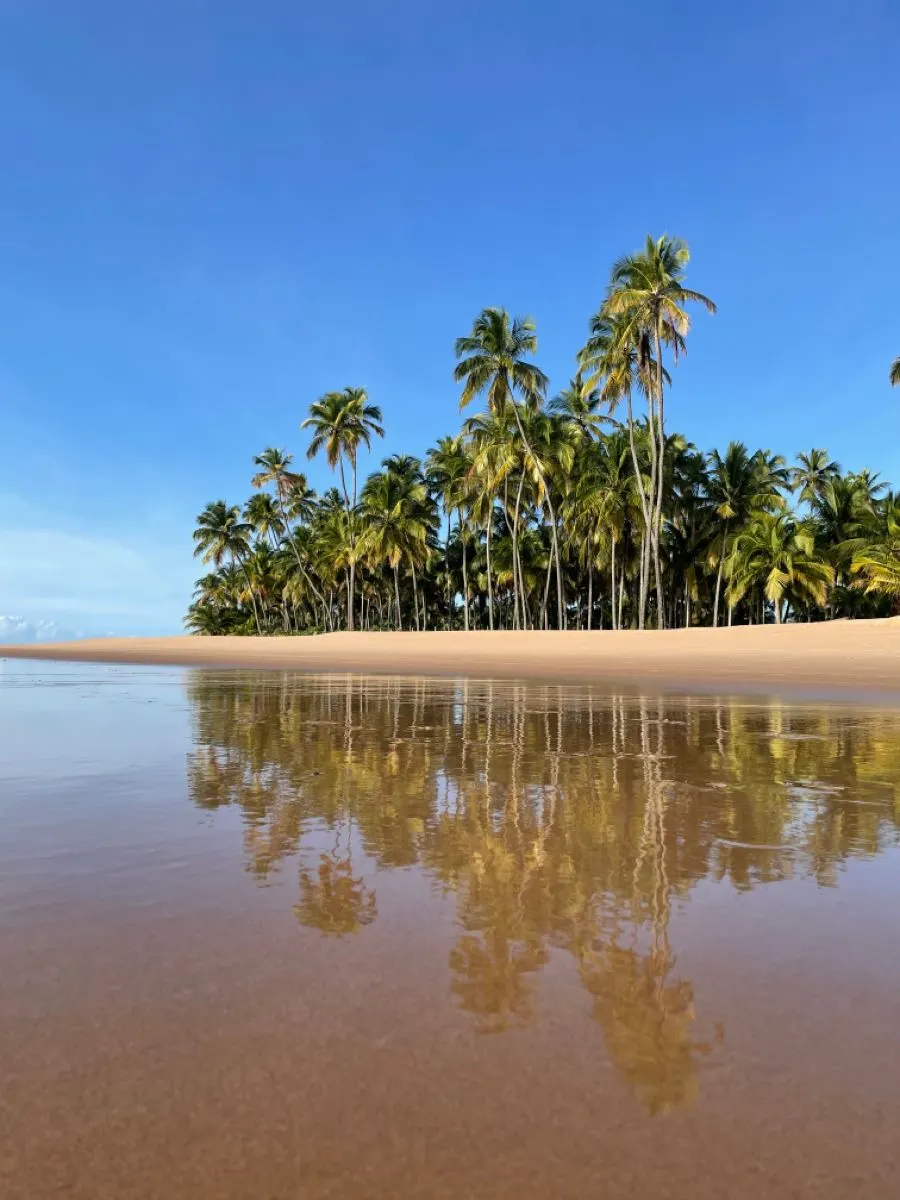 Reserva Ambiental da APA da Planície de Maraú